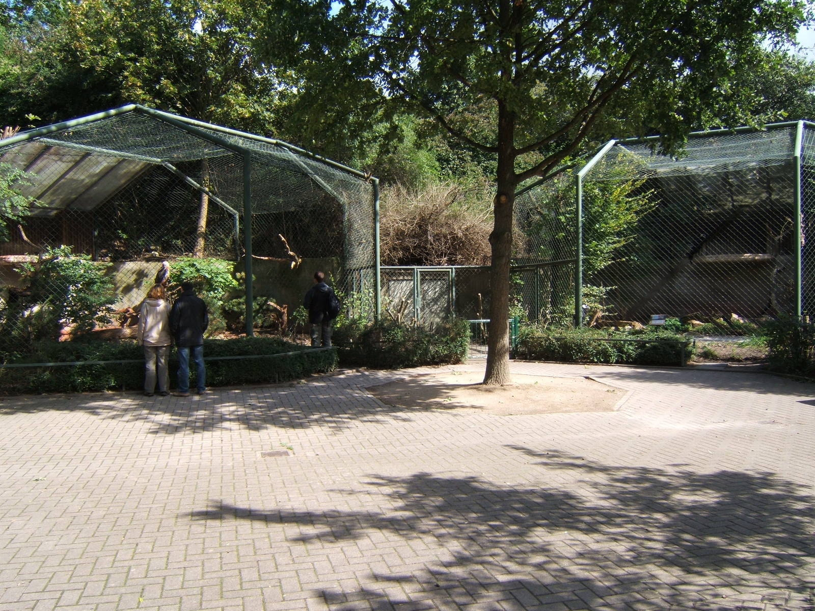 Bird of Prey Aviarys