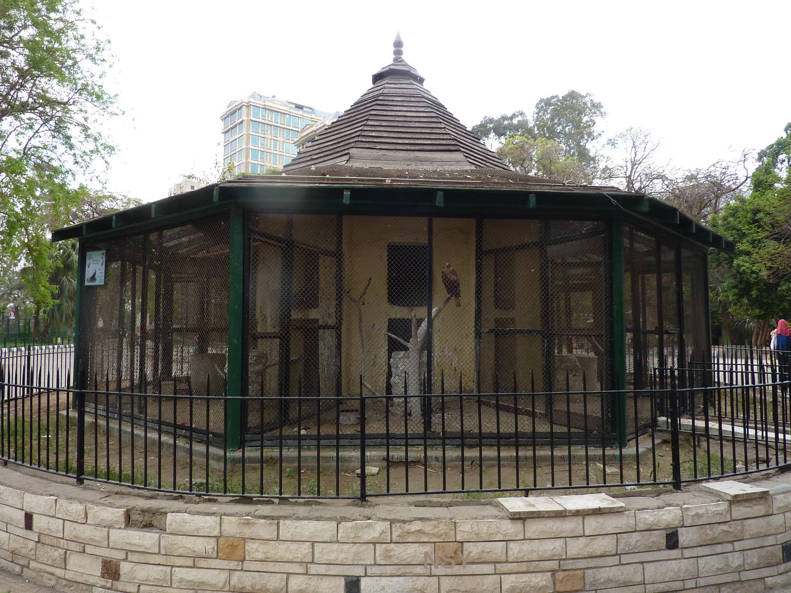 Bird of prey building