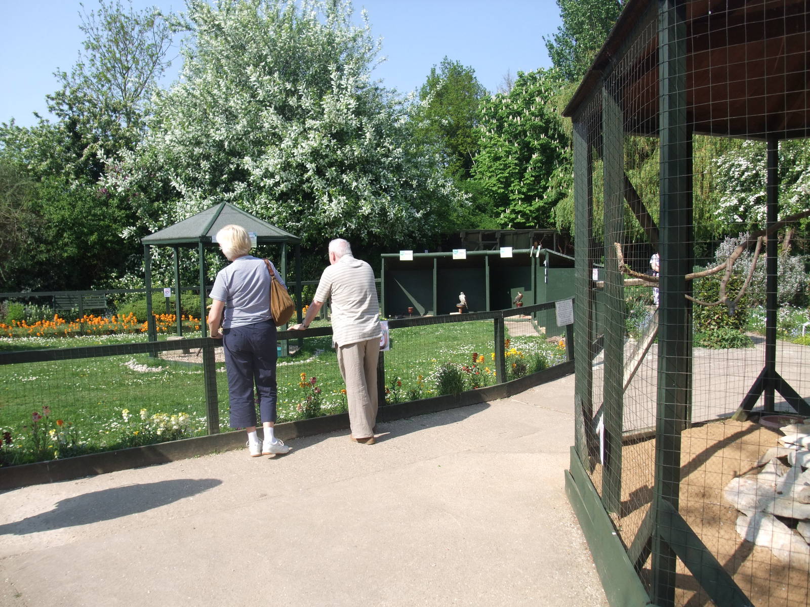 Bird of Prey Centre at Long Sutton 25/04/11