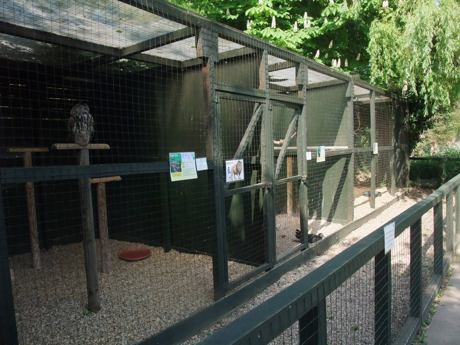 Bird of Prey Centre at Long Sutton 25/04/11