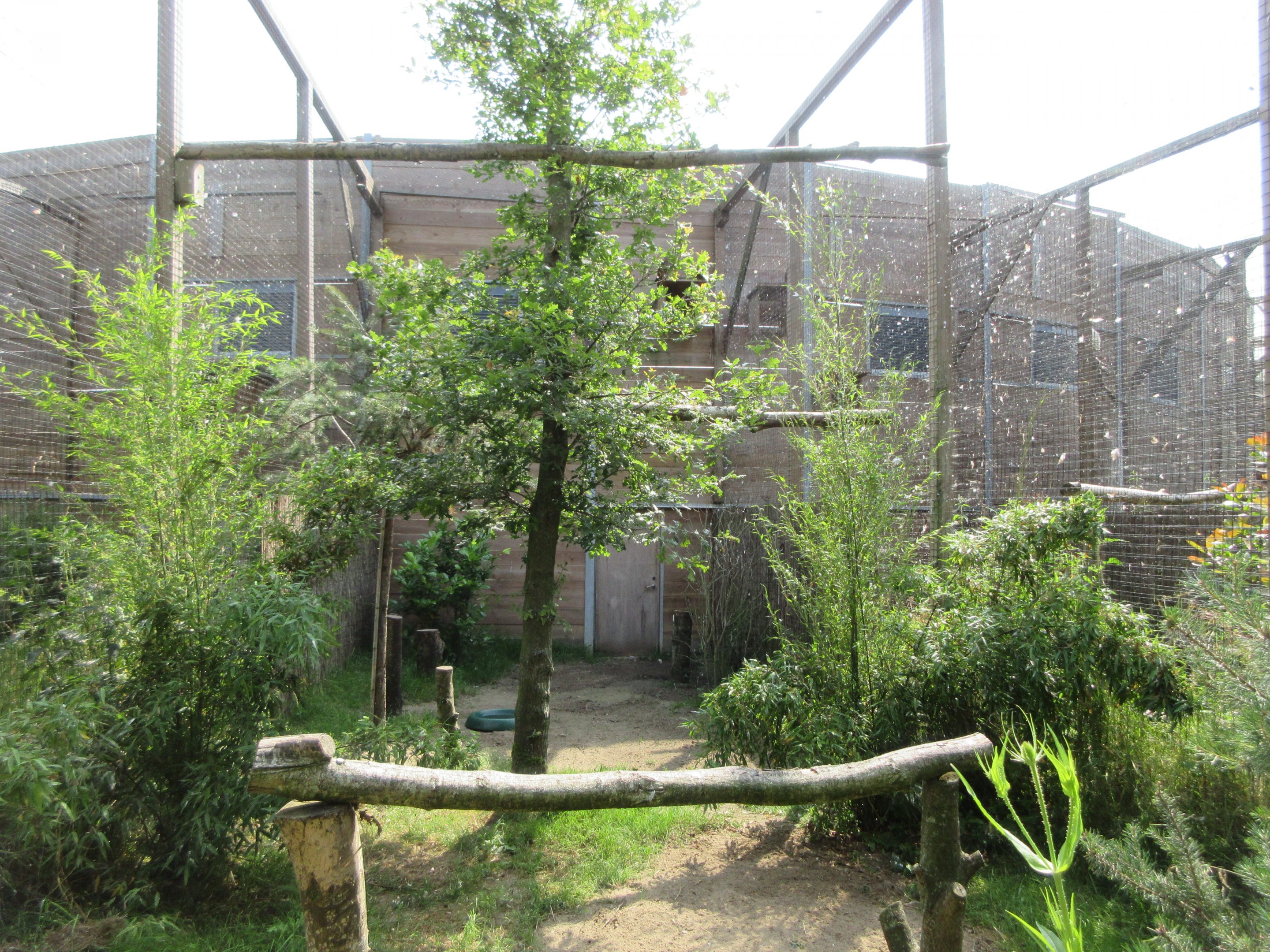 Bird of Prey Complex - Black Kite Exhibit
