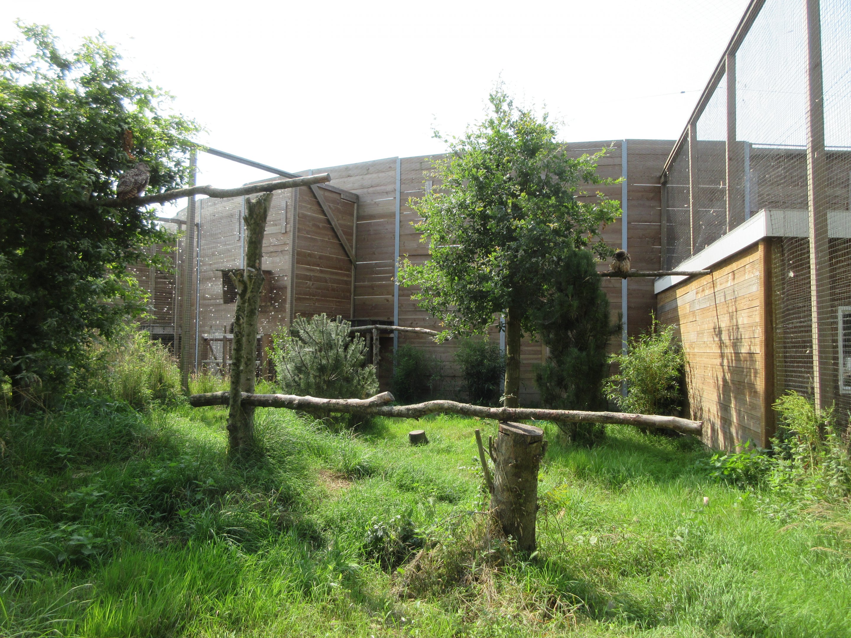 Bird of Prey Complex - Eurasian Eagle Owl Exhibit
