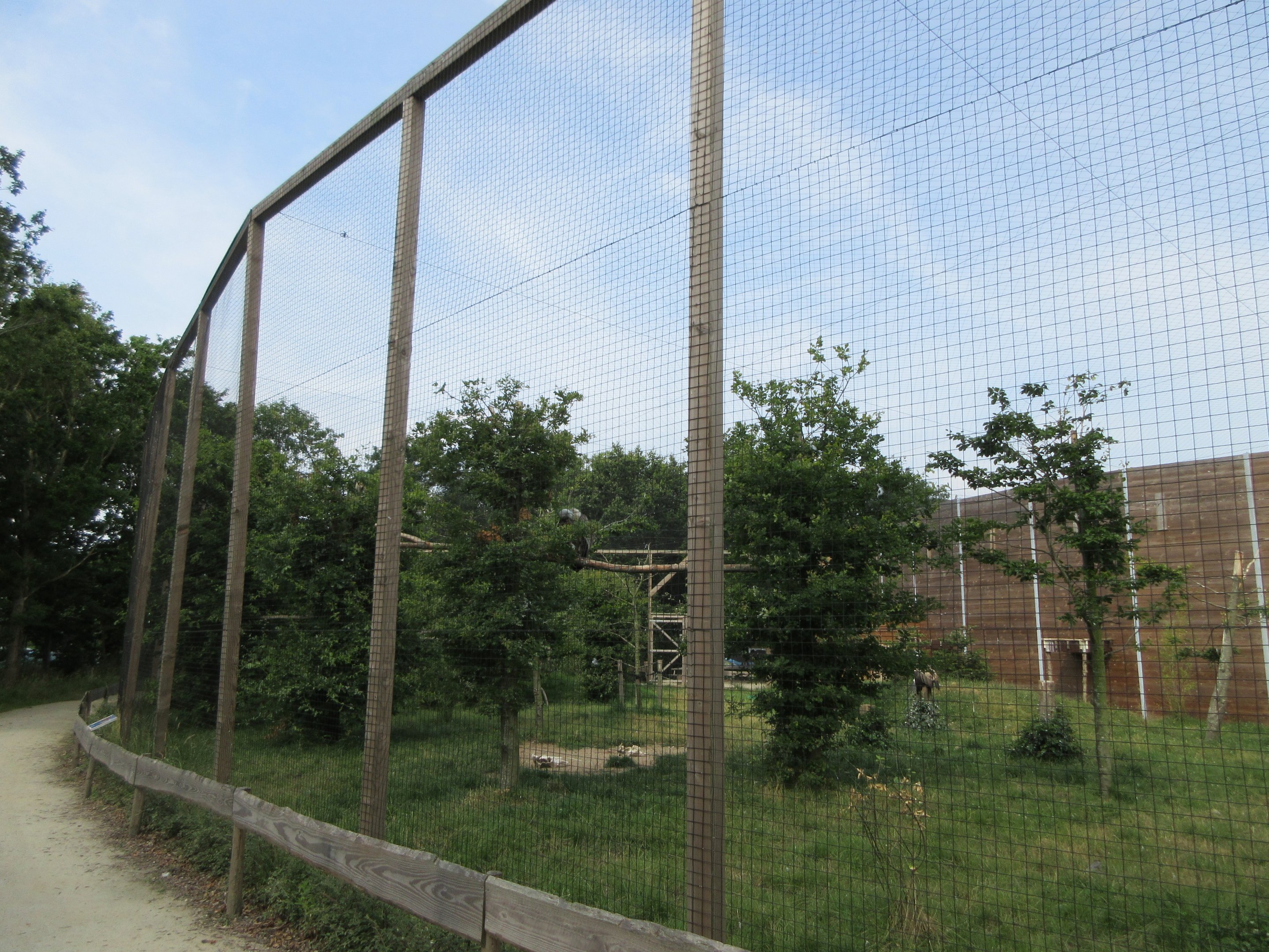 Bird of Prey Complex - Griffon Vulture/Marabou Stork Exhibit