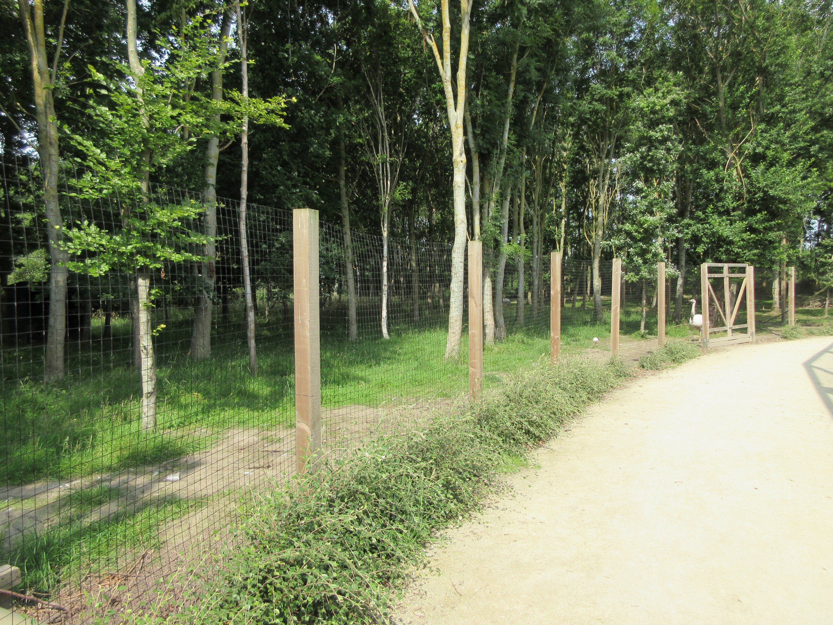 Bird of Prey Complex - Rhea Exhibit