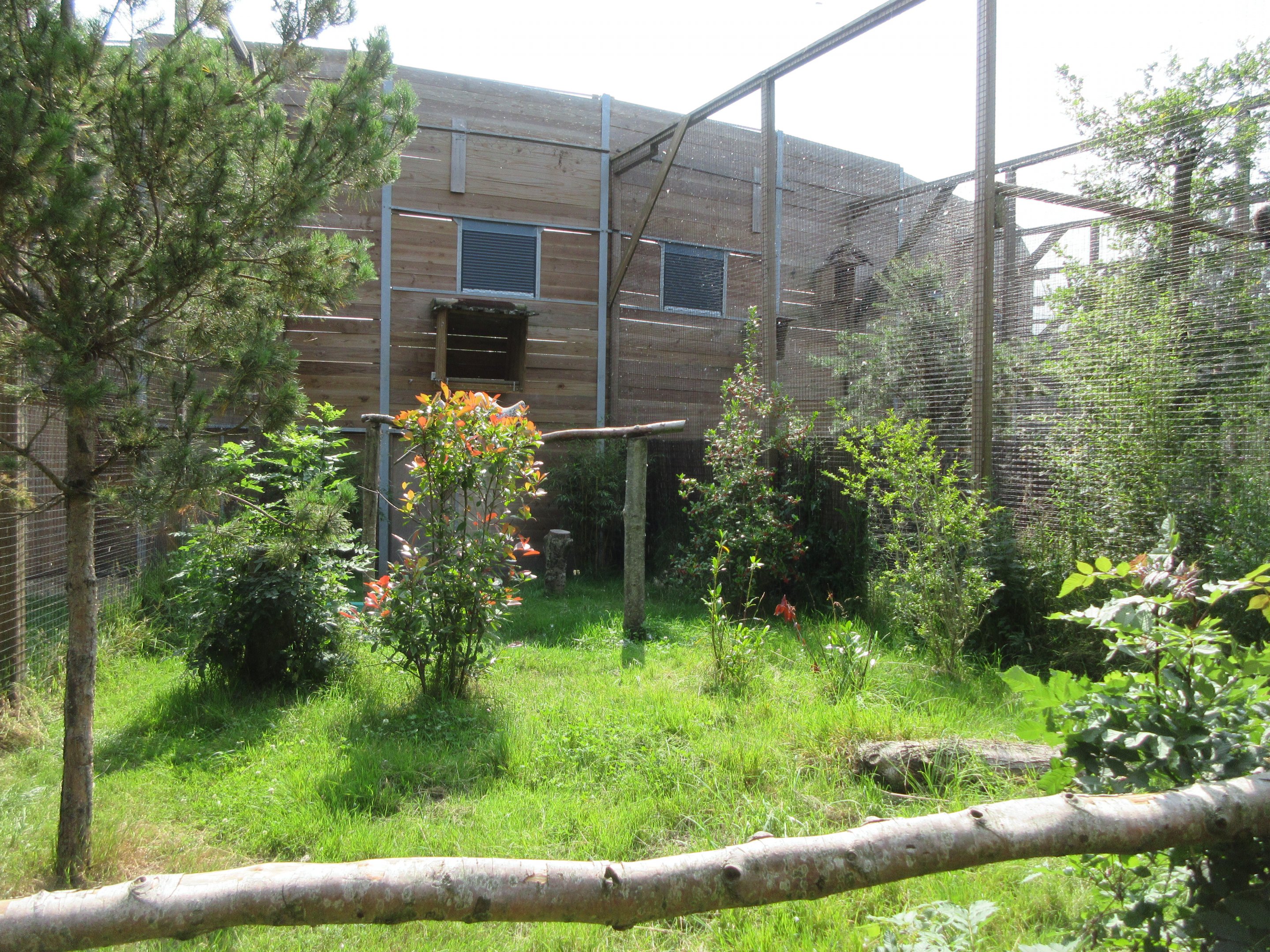 Bird of Prey Complex - Ruppell's Vulture Exhibit