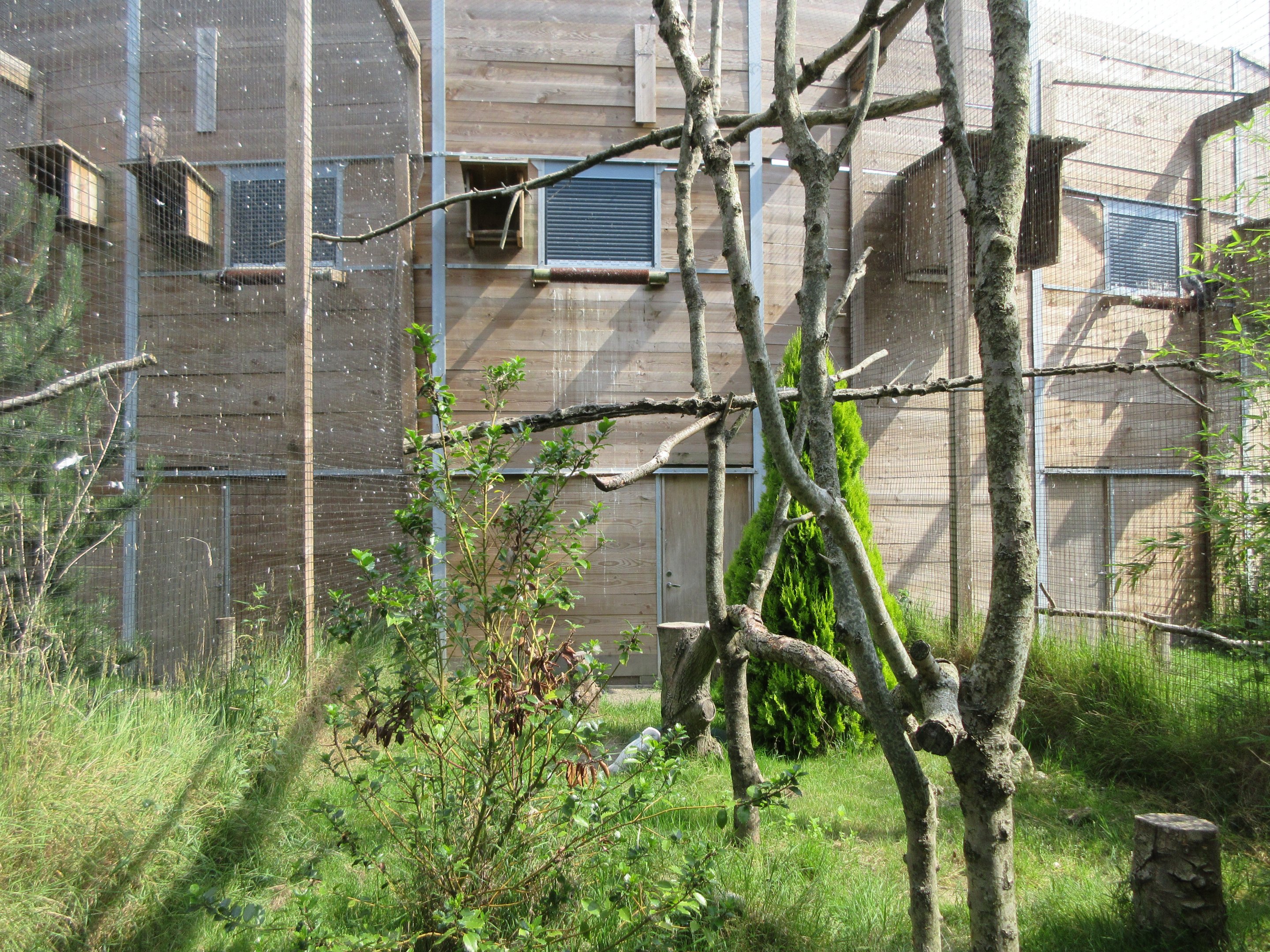 Bird of Prey Complex - Snowy Owl Exhibit