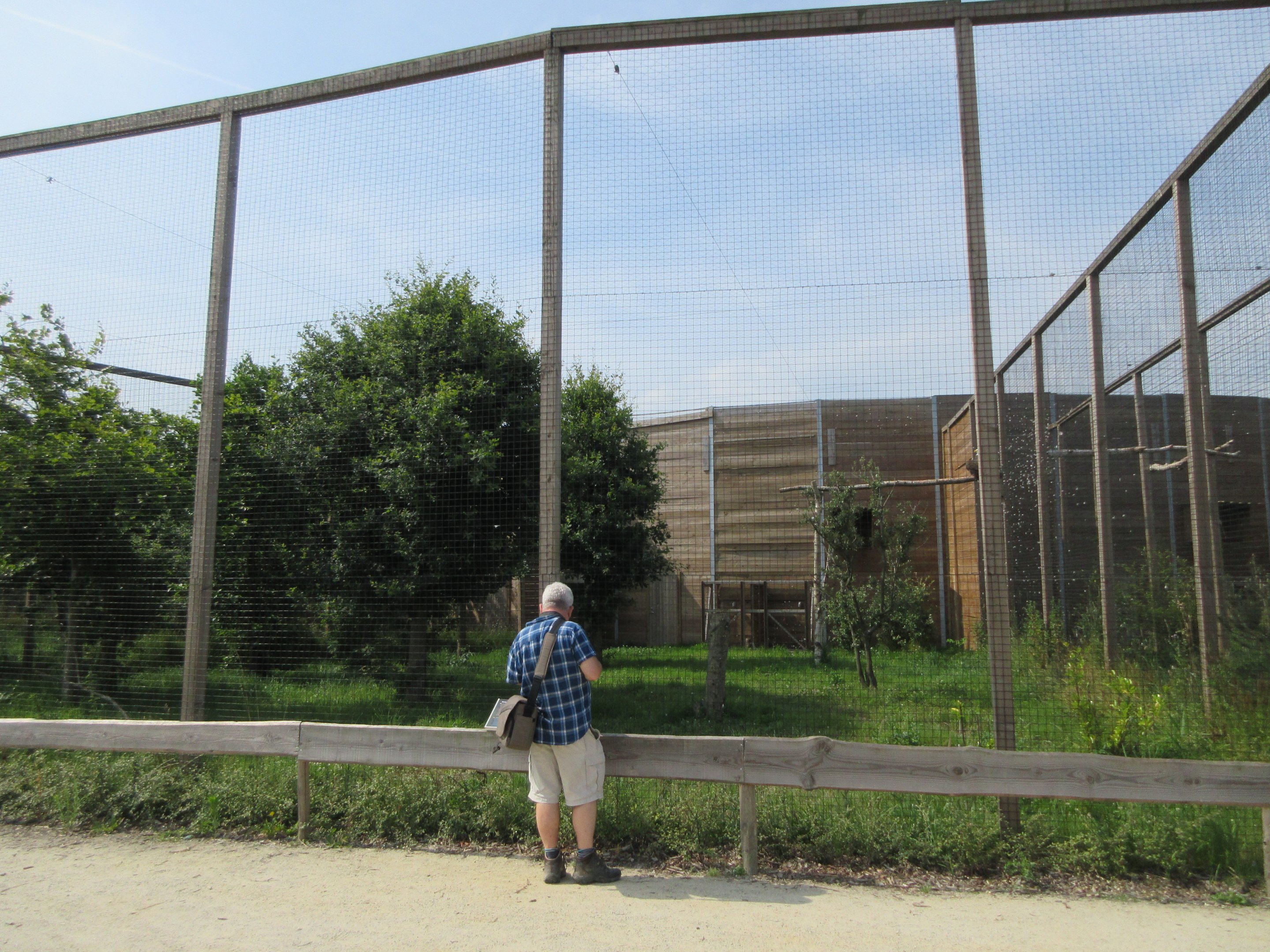 Bird of Prey Complex - Zoo Nerd + Bald Eagle Exhibit
