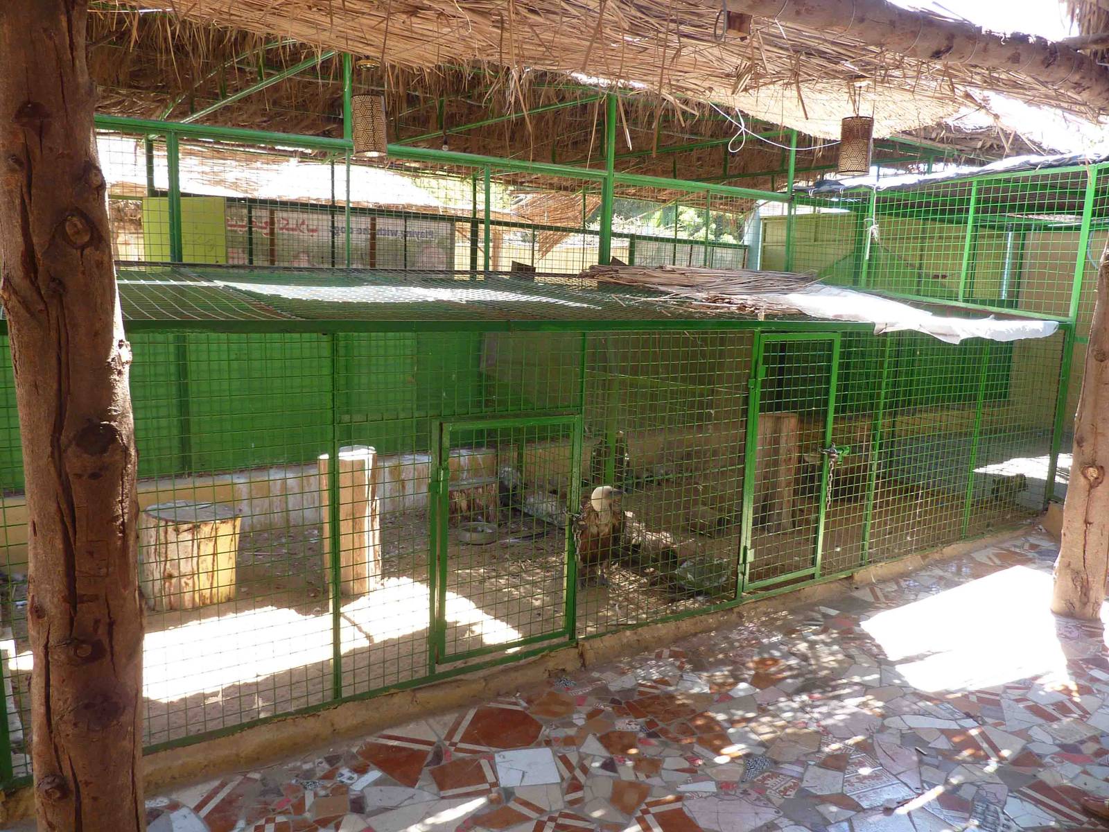 Bird of prey enclosures, April 2013.