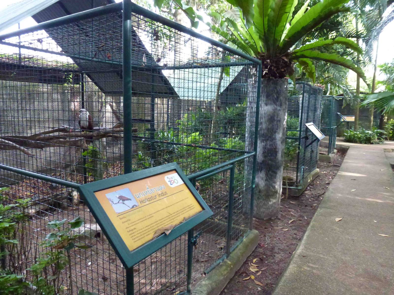 Bird of prey enclosures, June 2013.