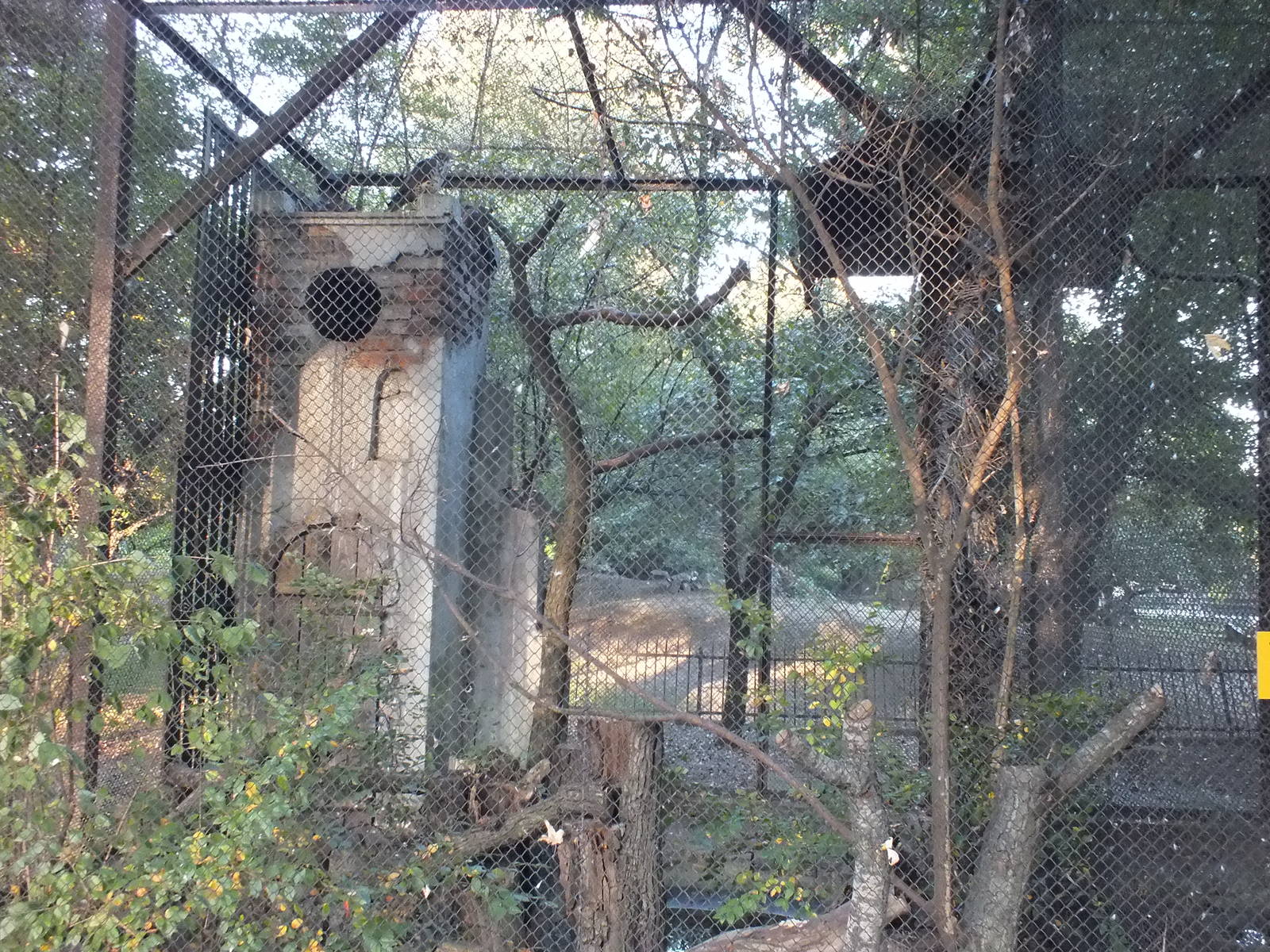 Bird of prey exhibit example