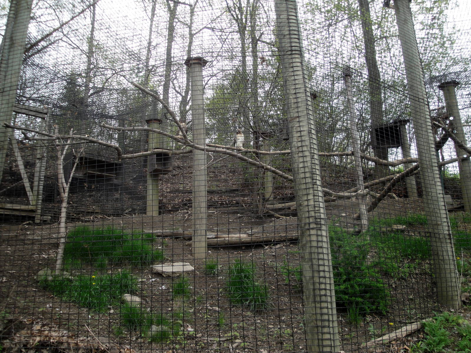 Bird of Prey Exhibit
