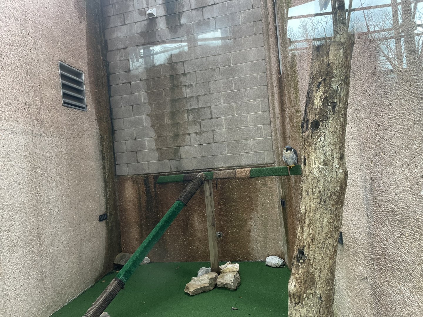 Bird Of Prey Exhibit