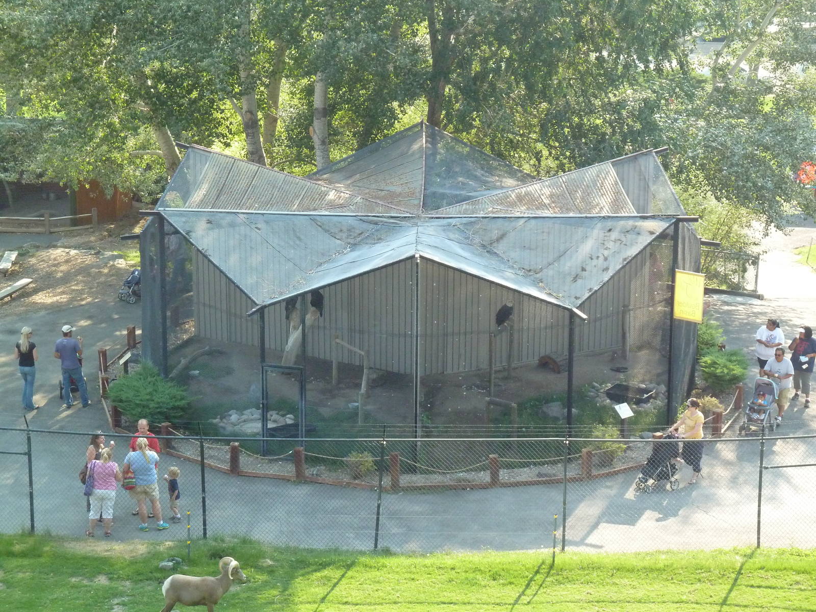 Bird of Prey Exhibits