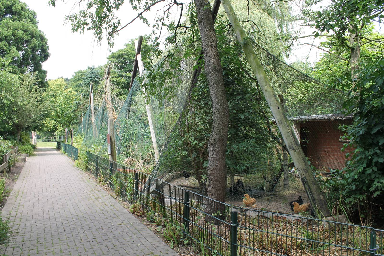Bird of prey, owl and chicken aviaries