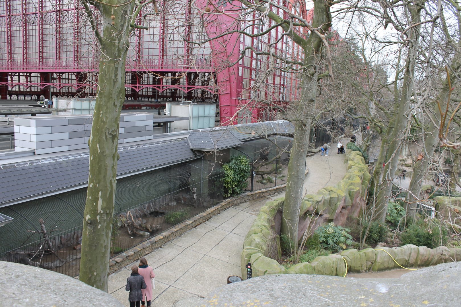 Bird of prey - Owl aviaries