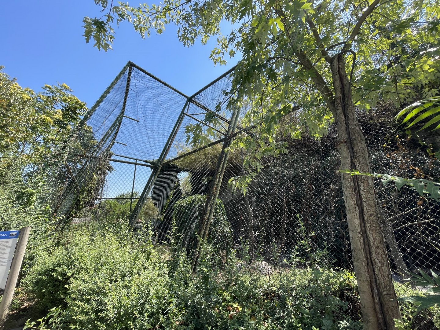 Bird of prey rehabilitation aviary