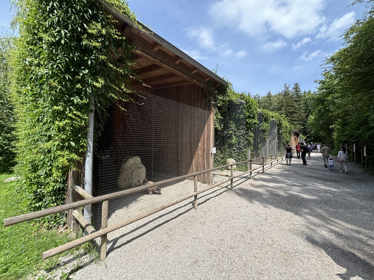 Bird of Prey Row at Wildpark Poing