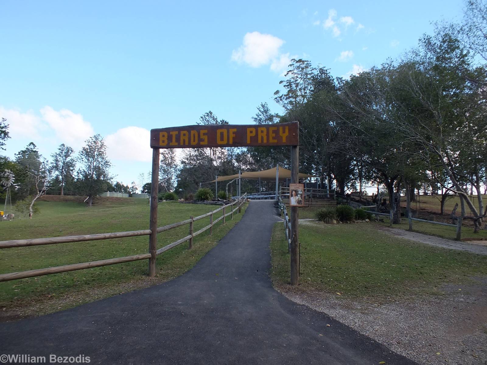 Bird of Prey Show Area in Walkthrough Kangaroo Enclosure