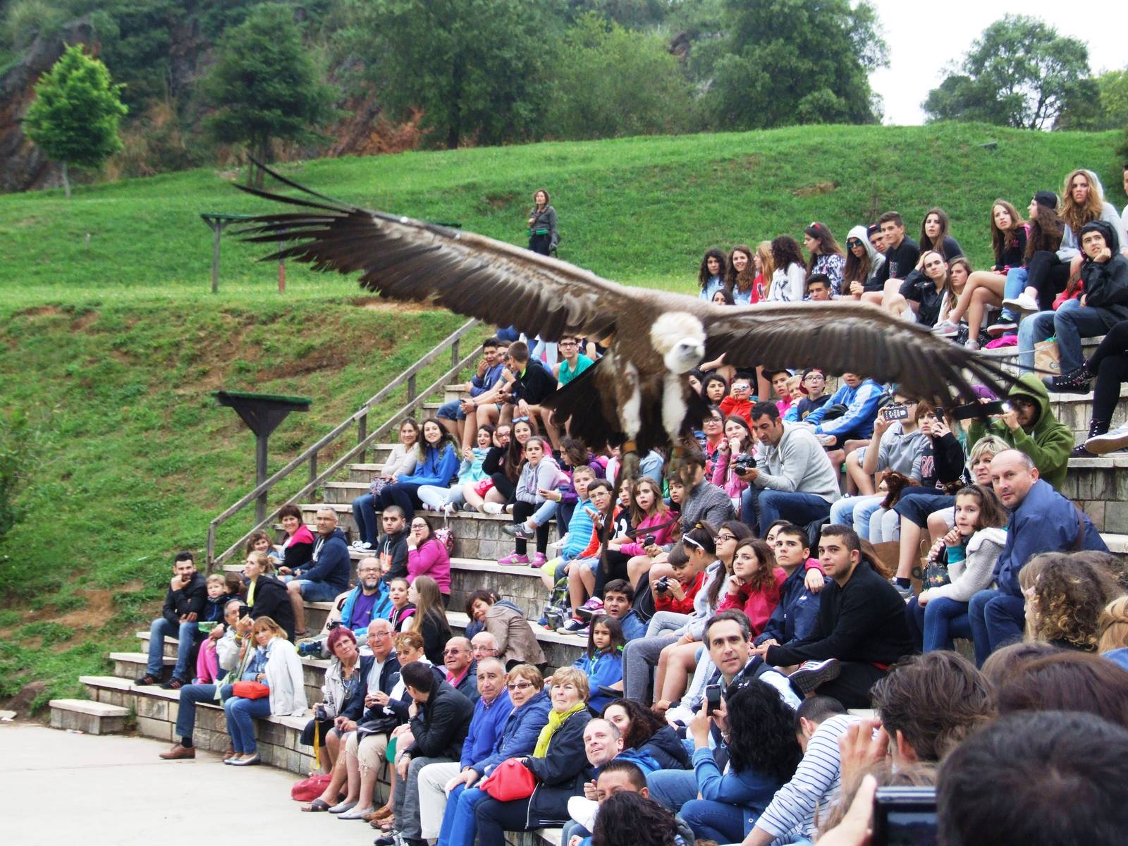 Bird of Prey Show at Cabarceno, 11/06/15