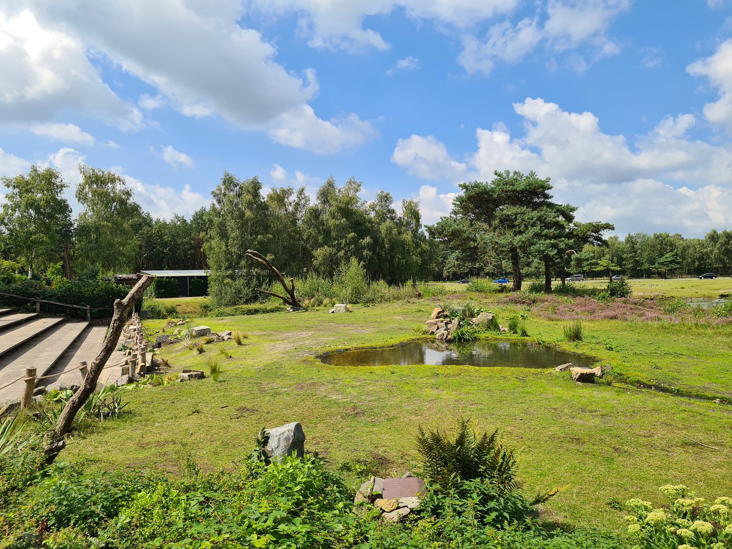 Bird-of-prey show yard