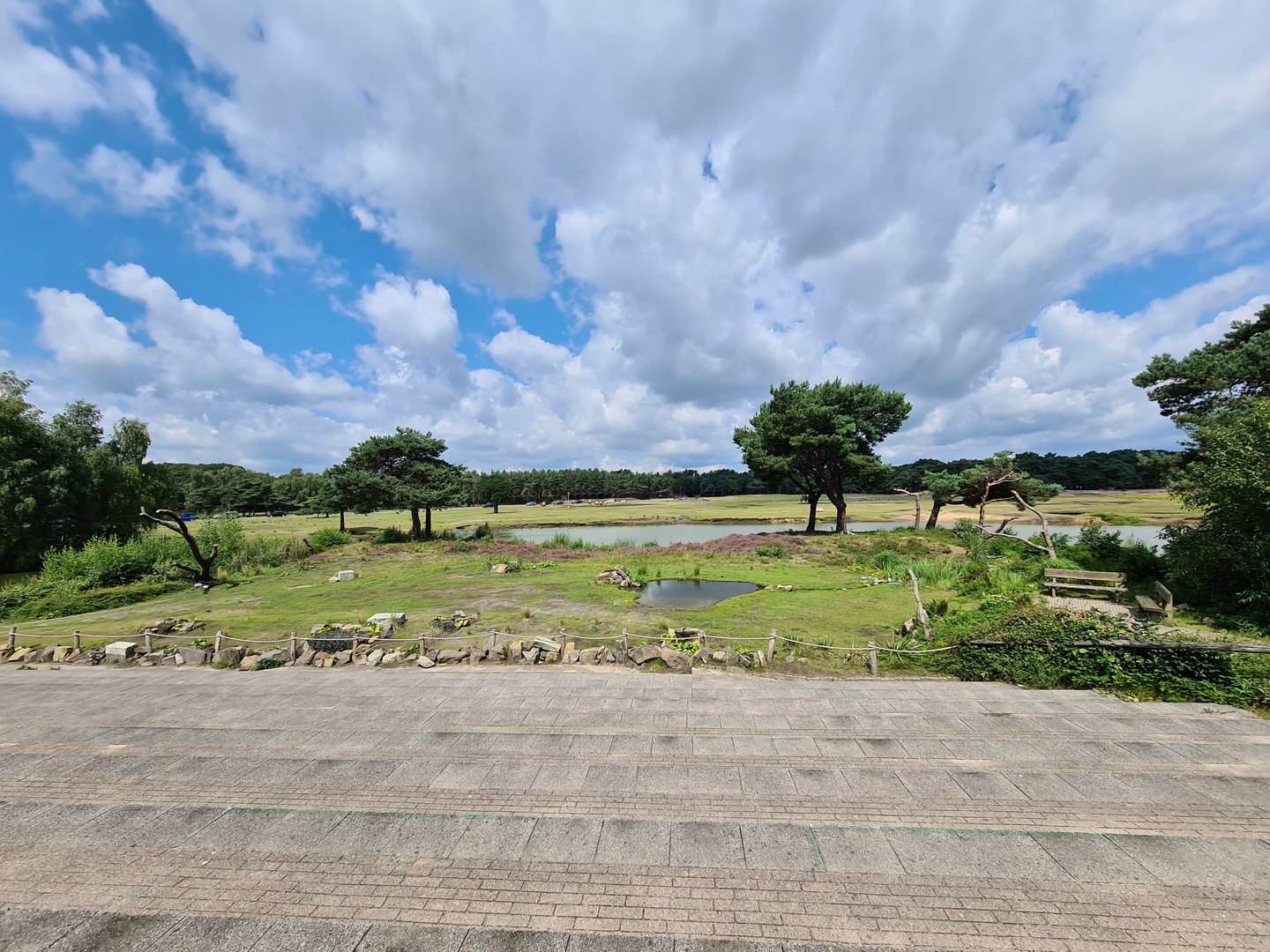 Bird-of-prey show yard