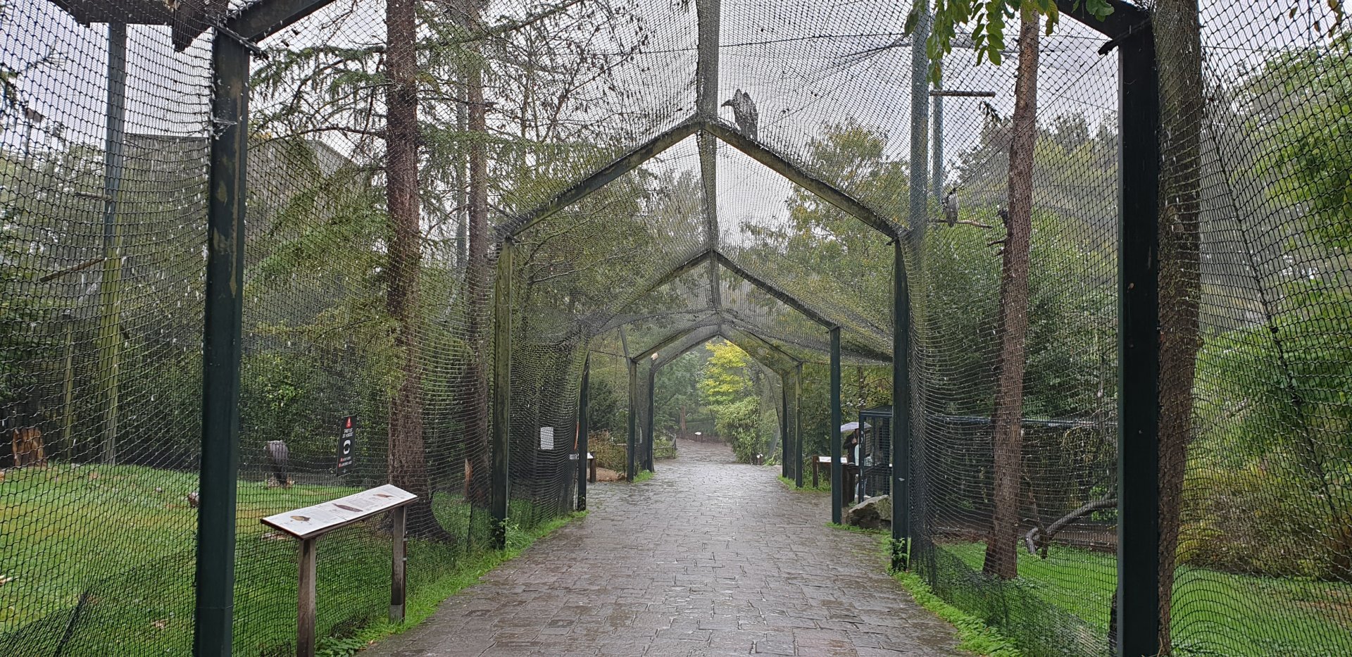 Bird of prey walk-through aviary