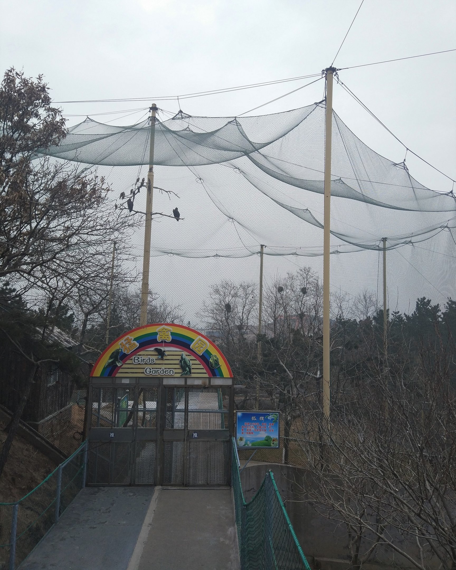 Bird of Prey Walkthrough Aviary