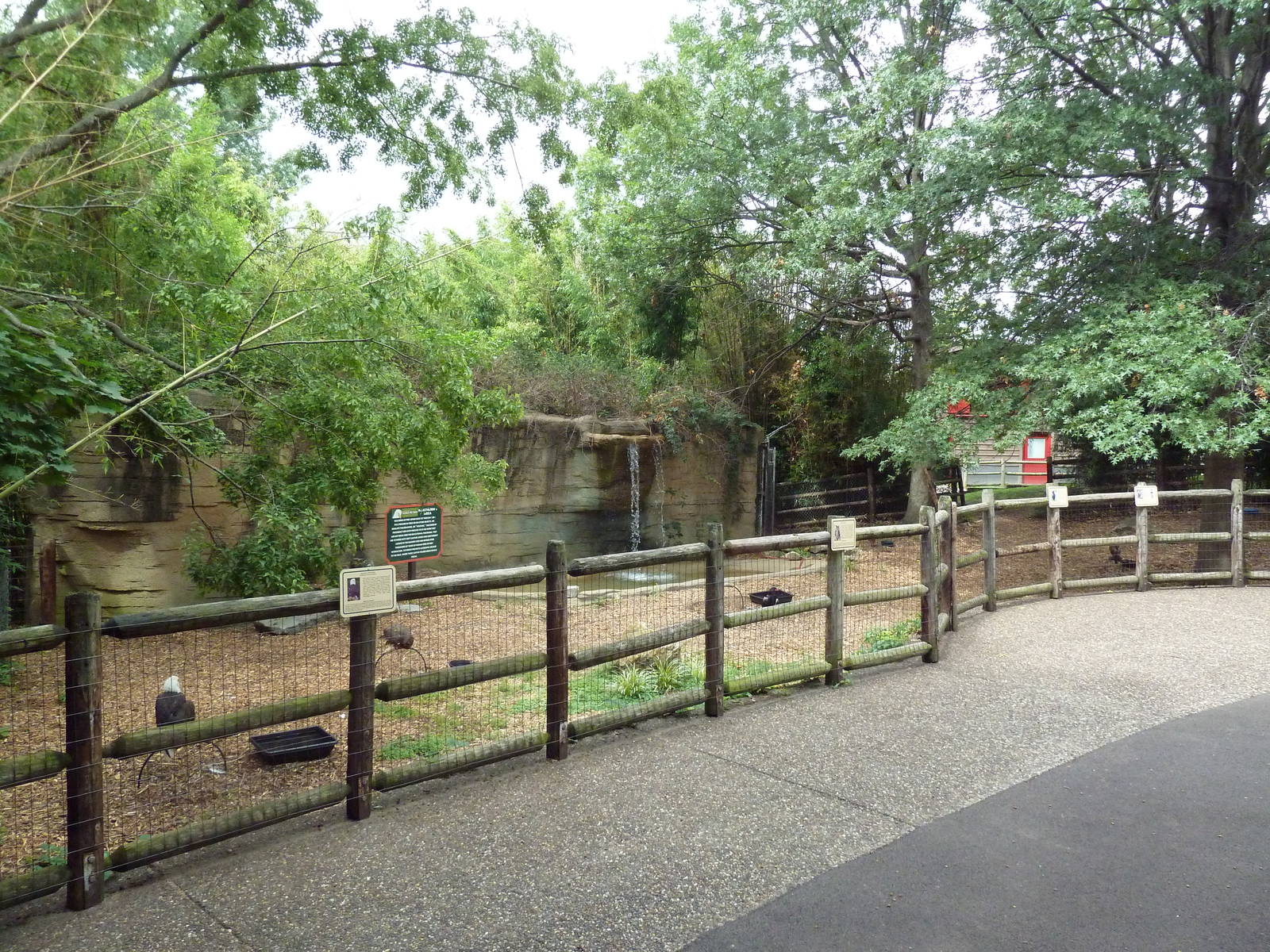 Bird of Prey Zone (Tethered Birds)