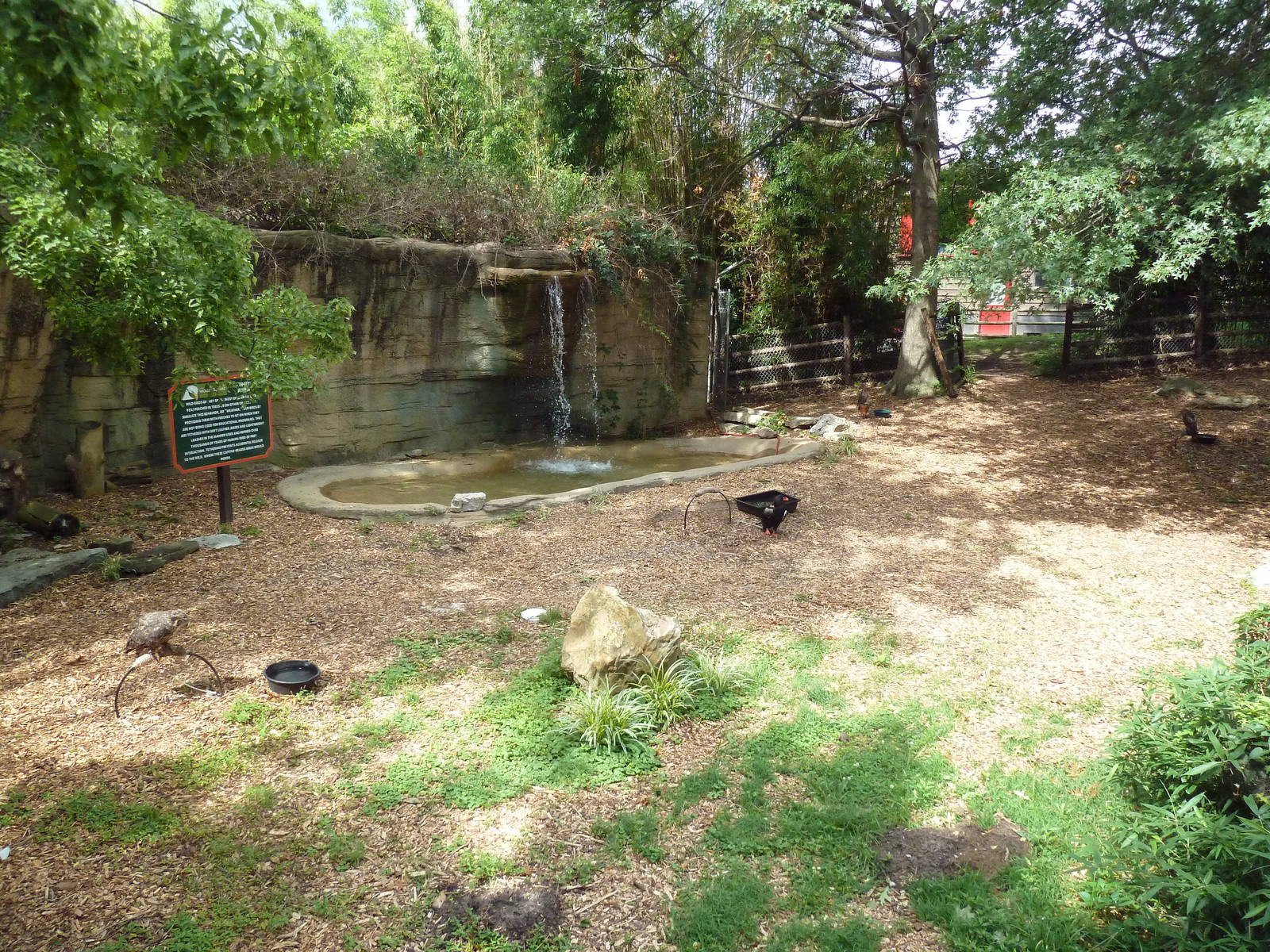 Bird of Prey Zone (Tethered Birds)