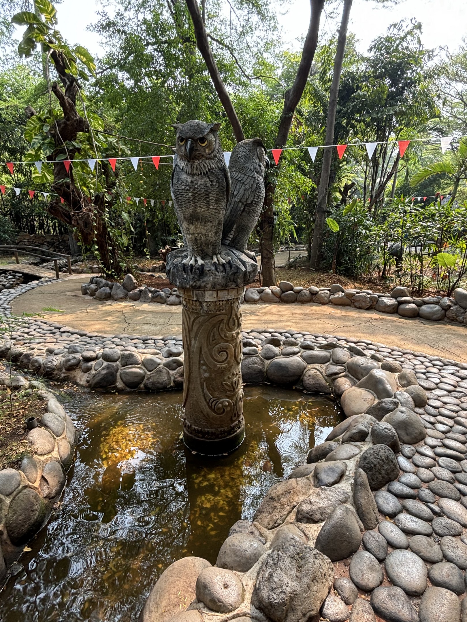 Bird of Prey Zone - tethered birds