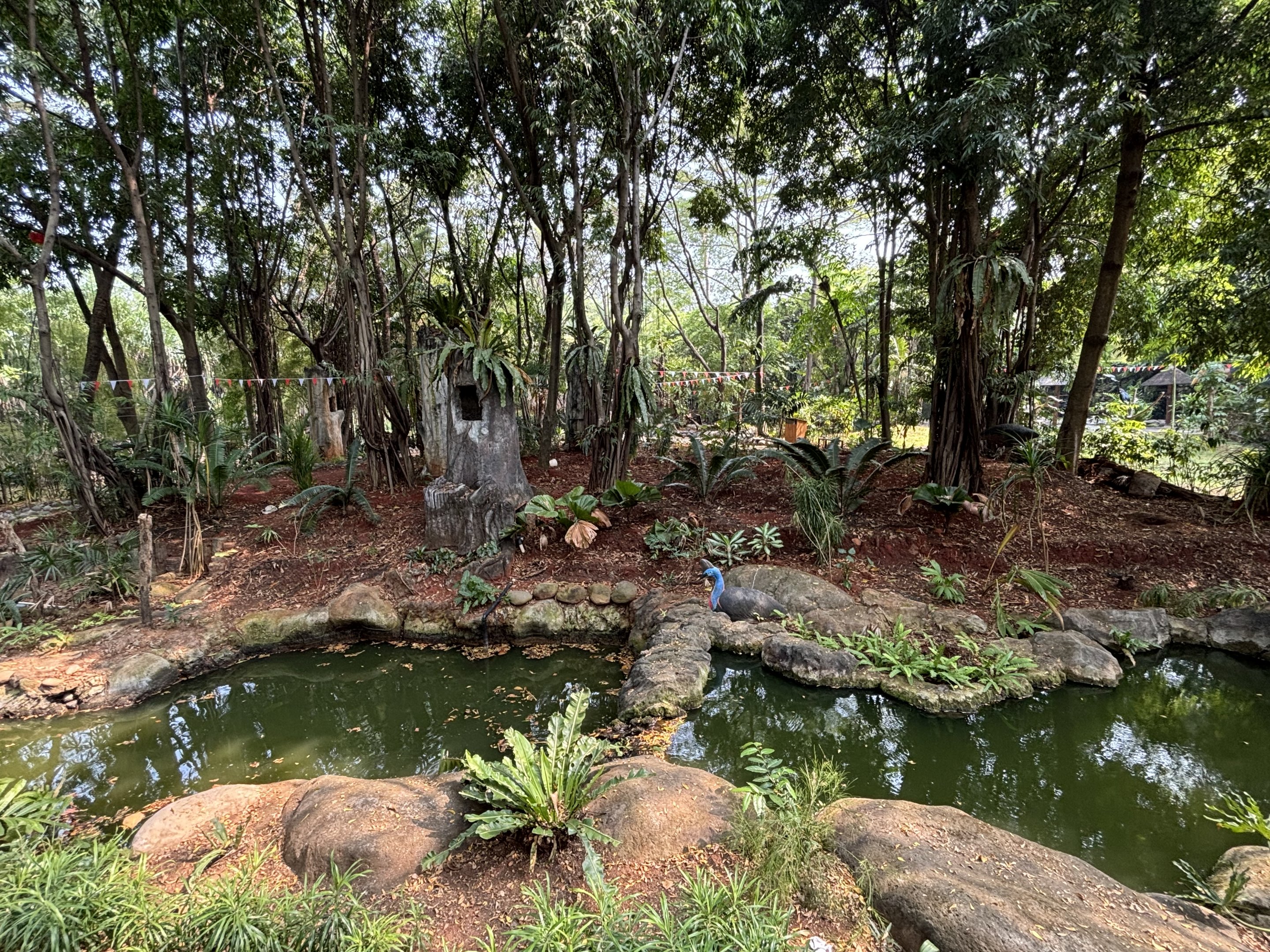 Bird of Prey Zone - tethered birds