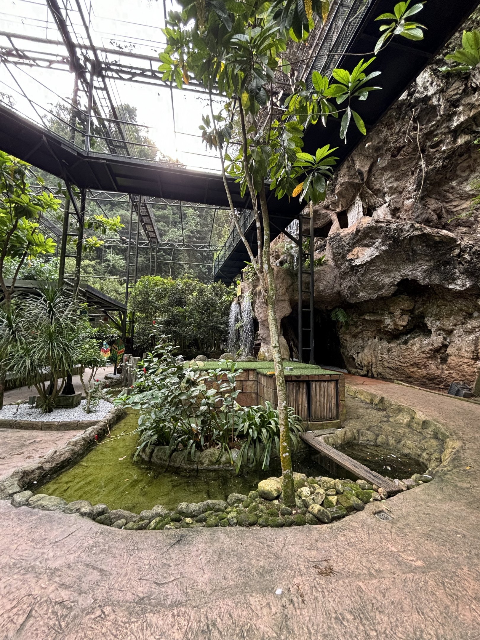 Bird Paradise Aviary - Lost World of Tambun