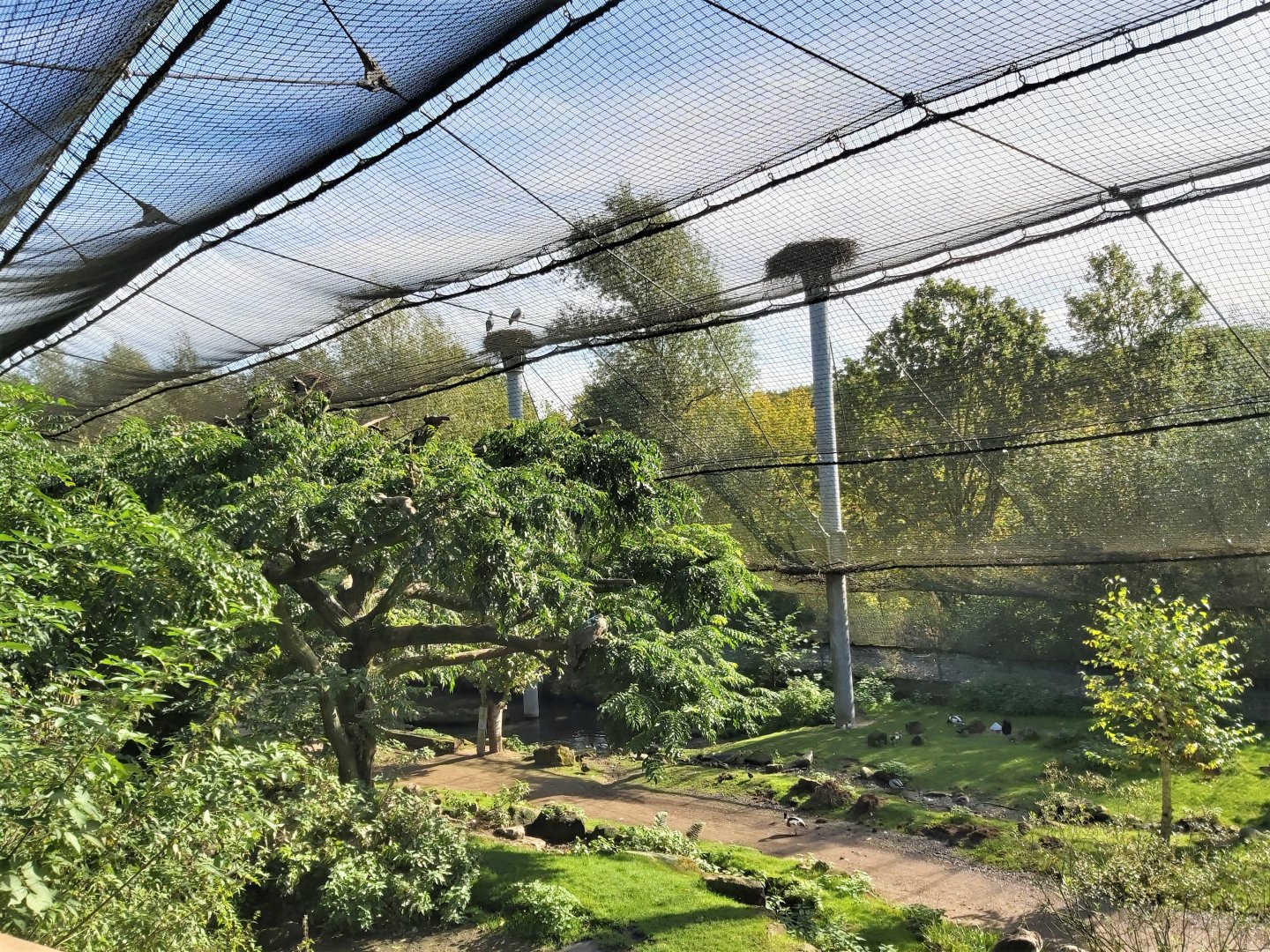 'Bird Paradise' Aviary