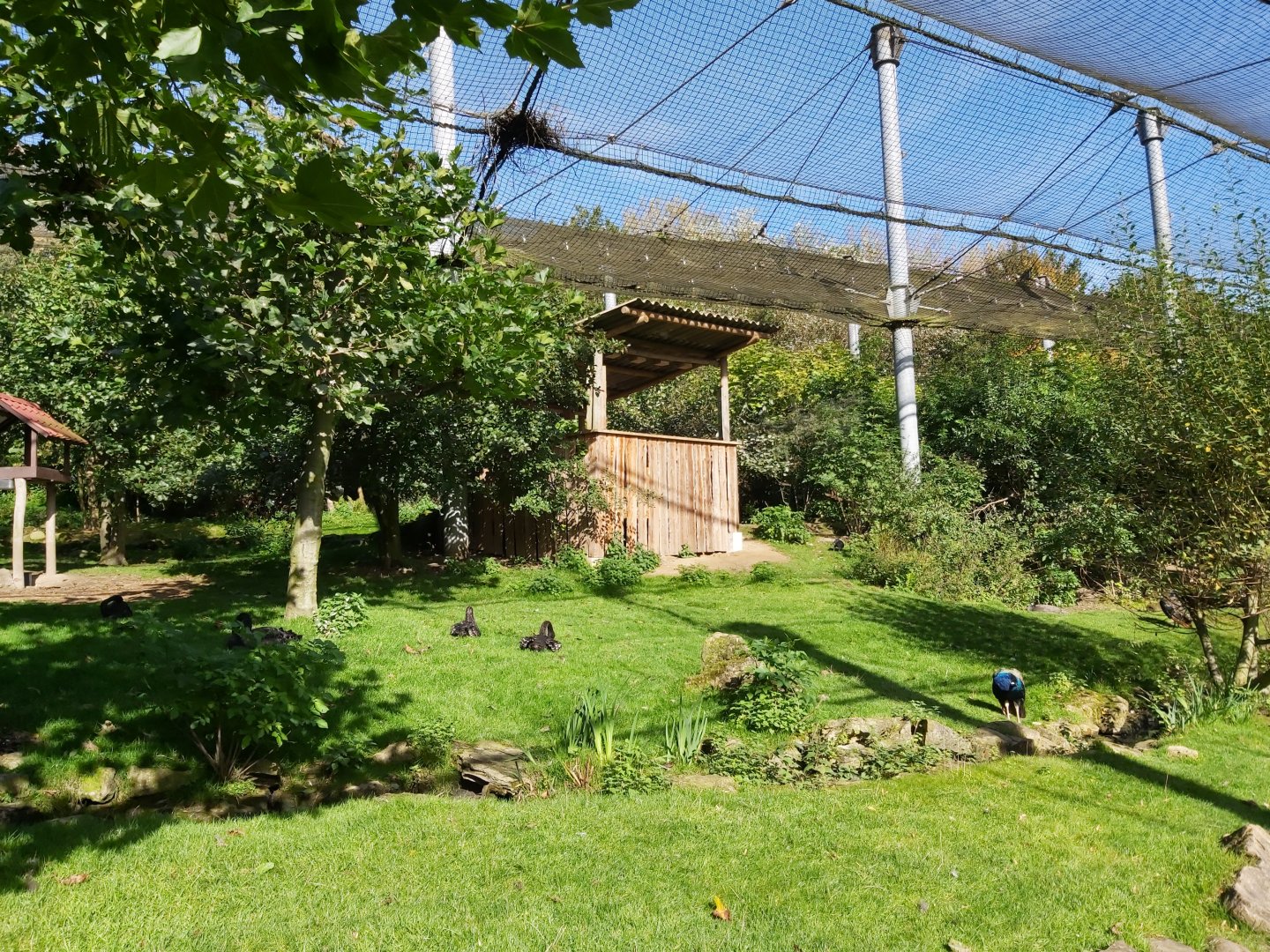 'Bird Paradise' Aviary