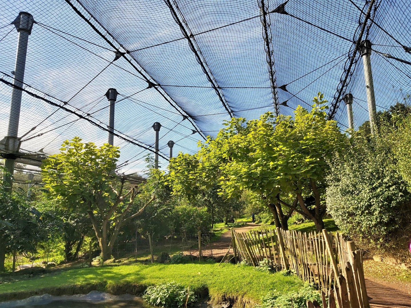 'Bird Paradise' Aviary