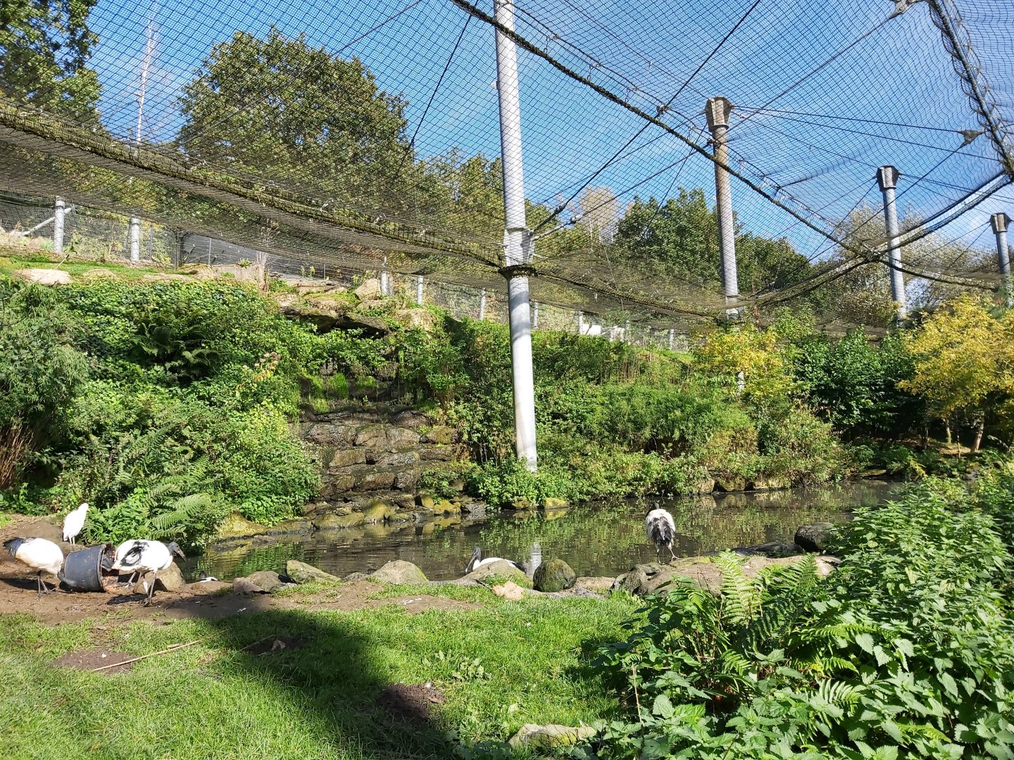 'Bird Paradise' Aviary