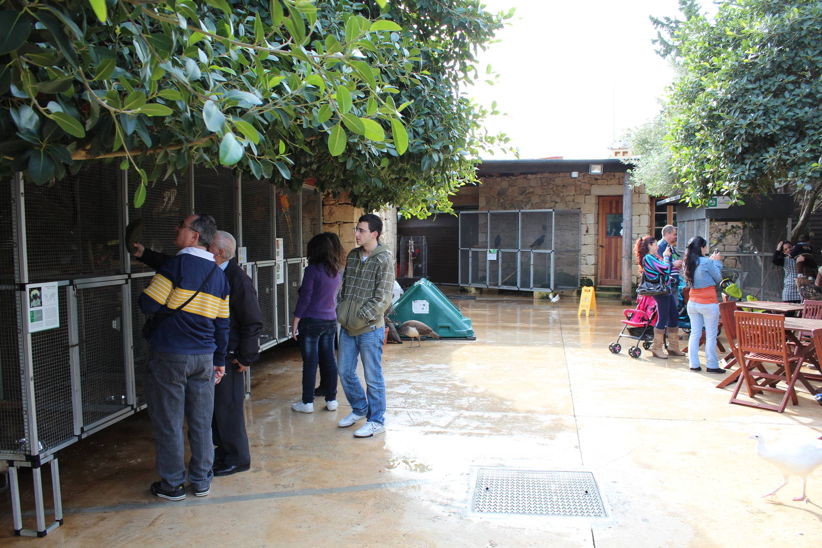 Bird Park Malta - Enclosures in Entrance Area