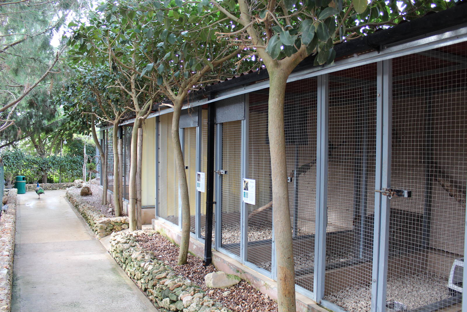 Bird Park Malta - Enclosures