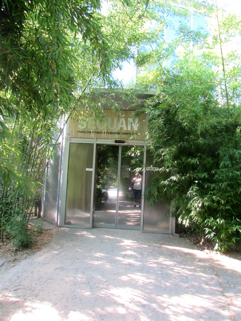 Bird pavilion - Sichuan. July/2017