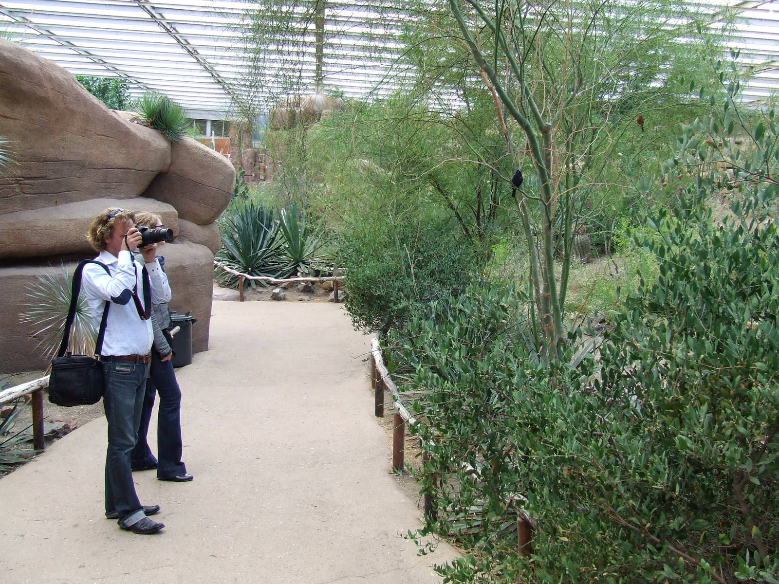 Bird photography, Burgers Desert