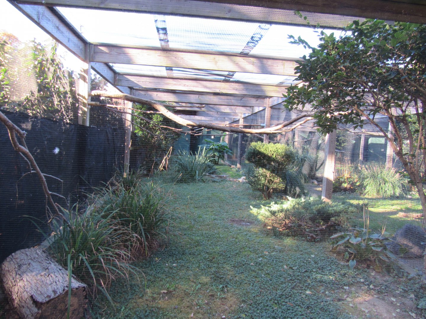 Bird Plateau- Black-crowned Night Heron Exhibit