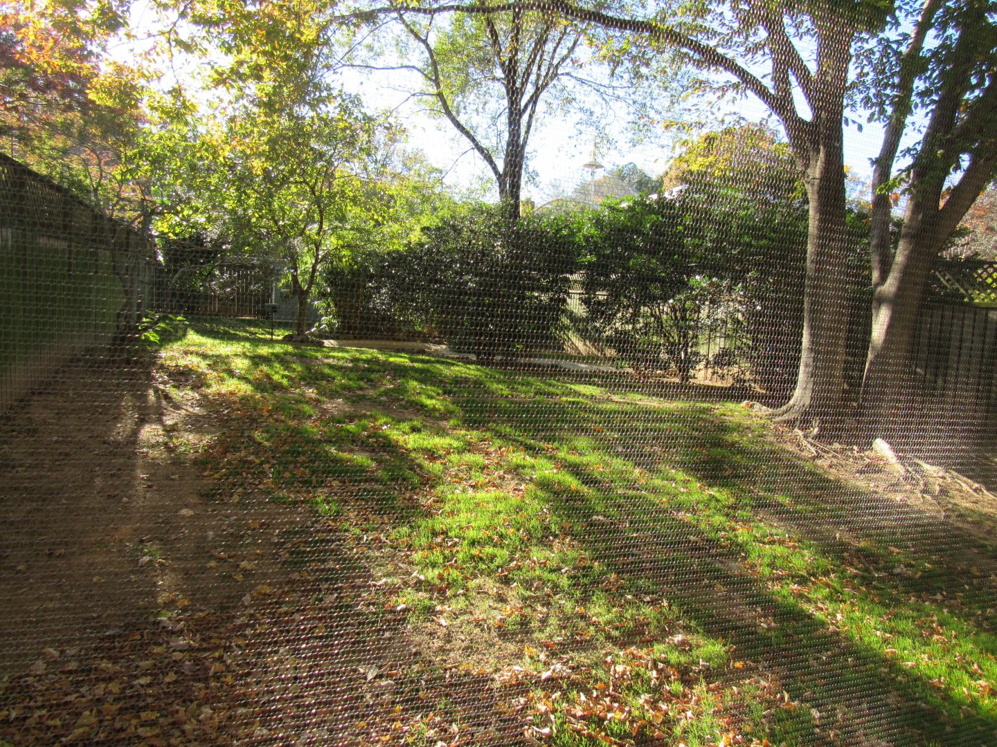 Bird Plateau- Crane Yard #2 (Empty)