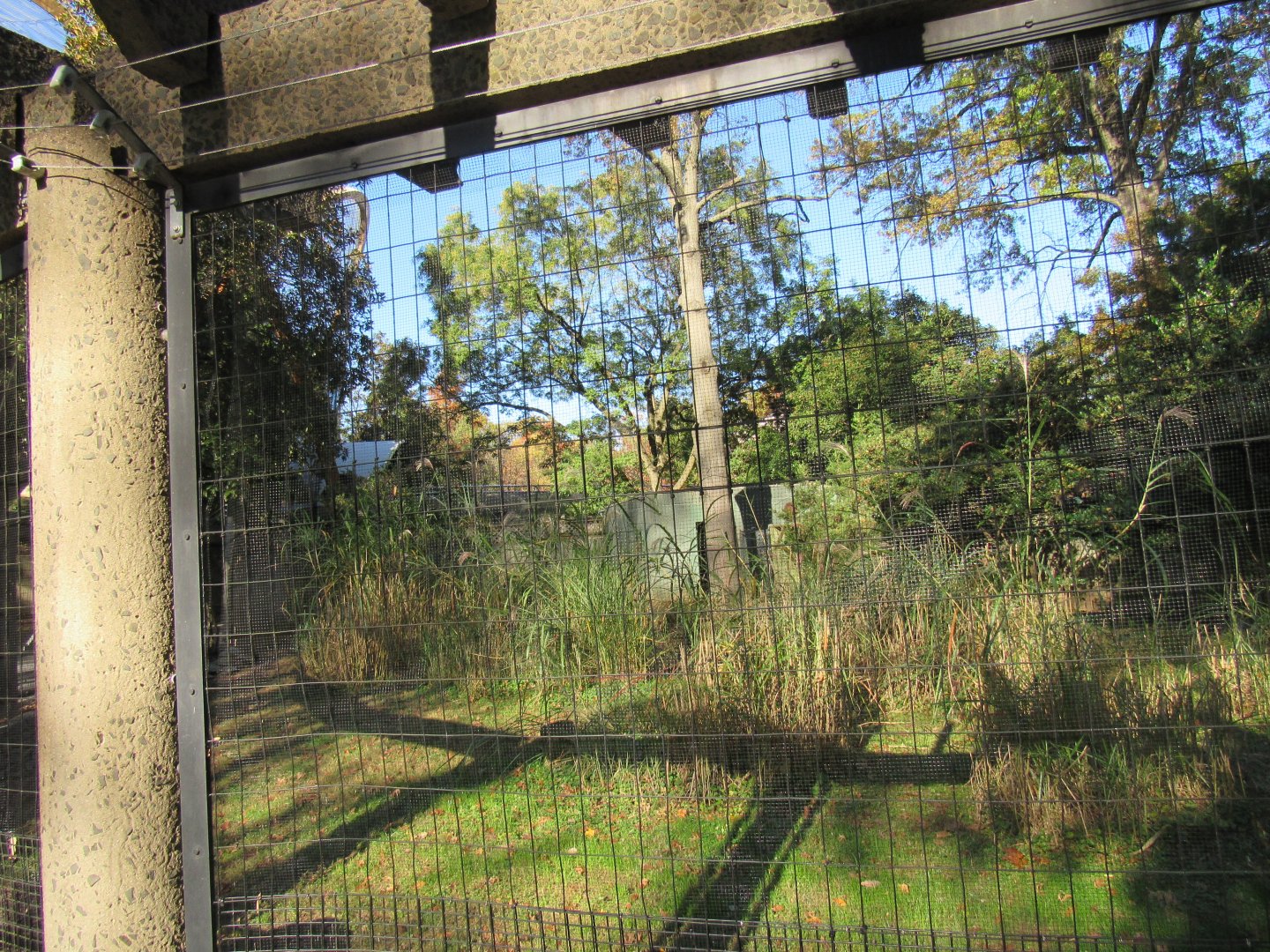 Bird Plateau- Emu Exhibit