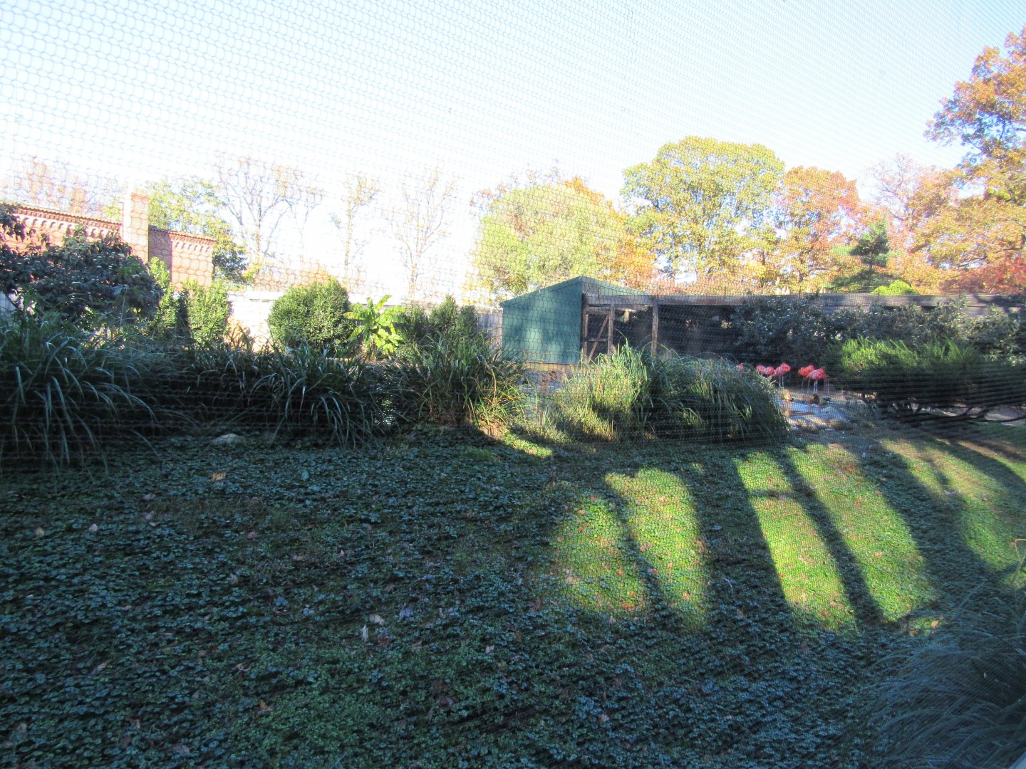 Bird Plateau- Flamingo and Duck Exhibit