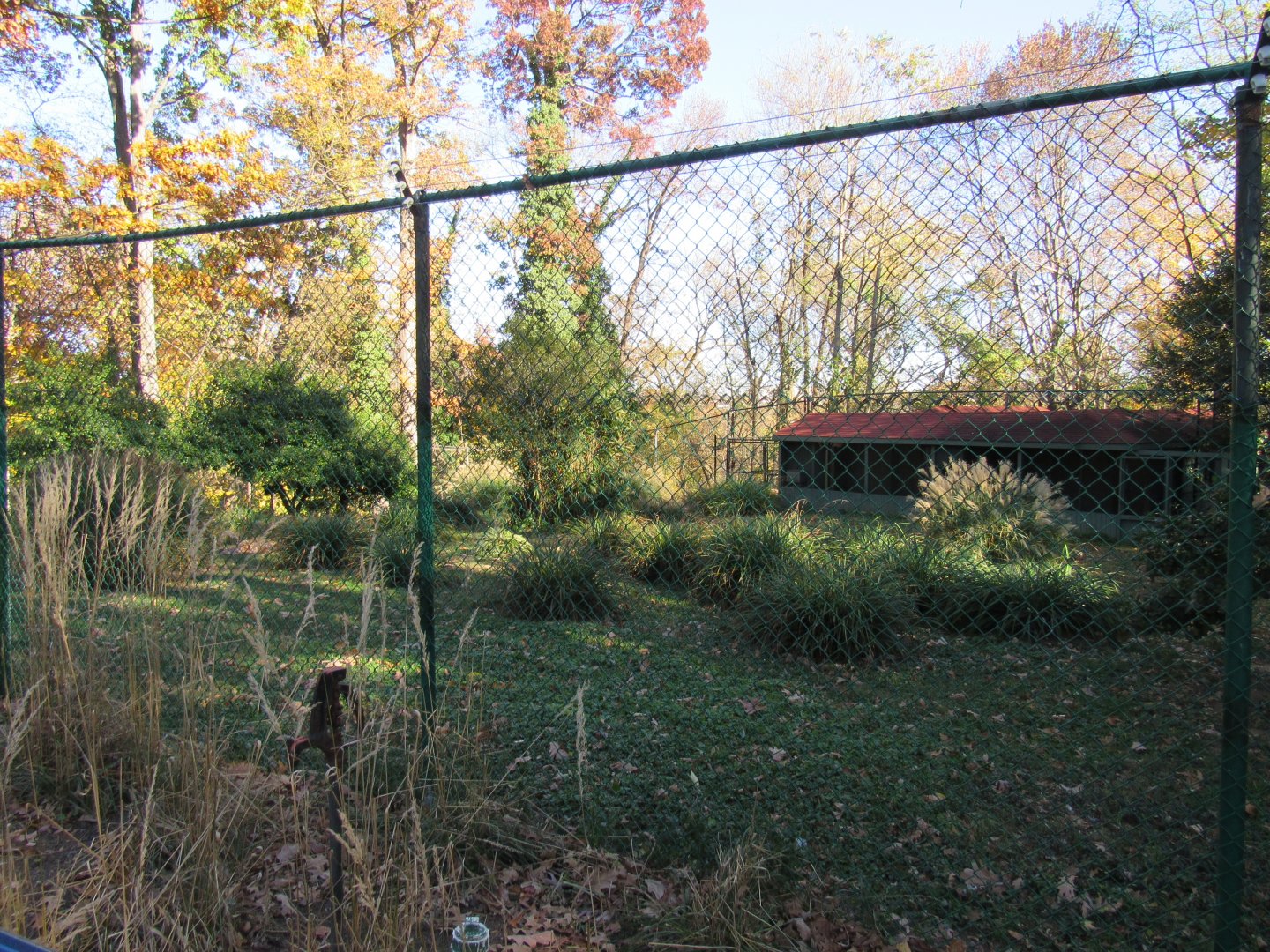 Bird Plateau- Kori Bustard Exhibit