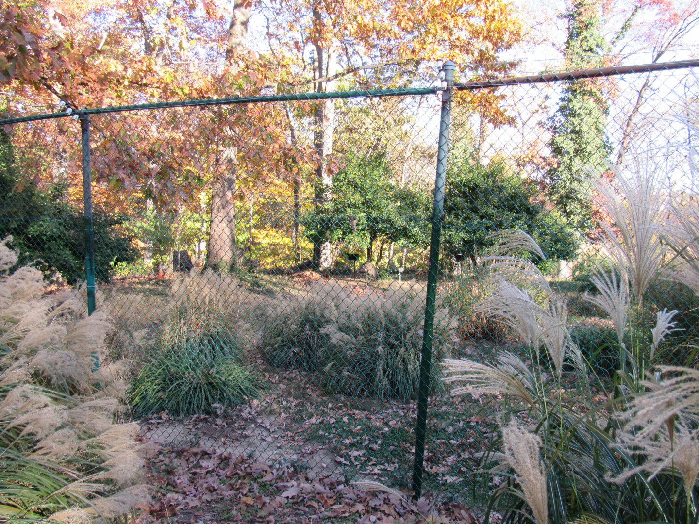 Bird Plateau- Kori Bustard Exhibit