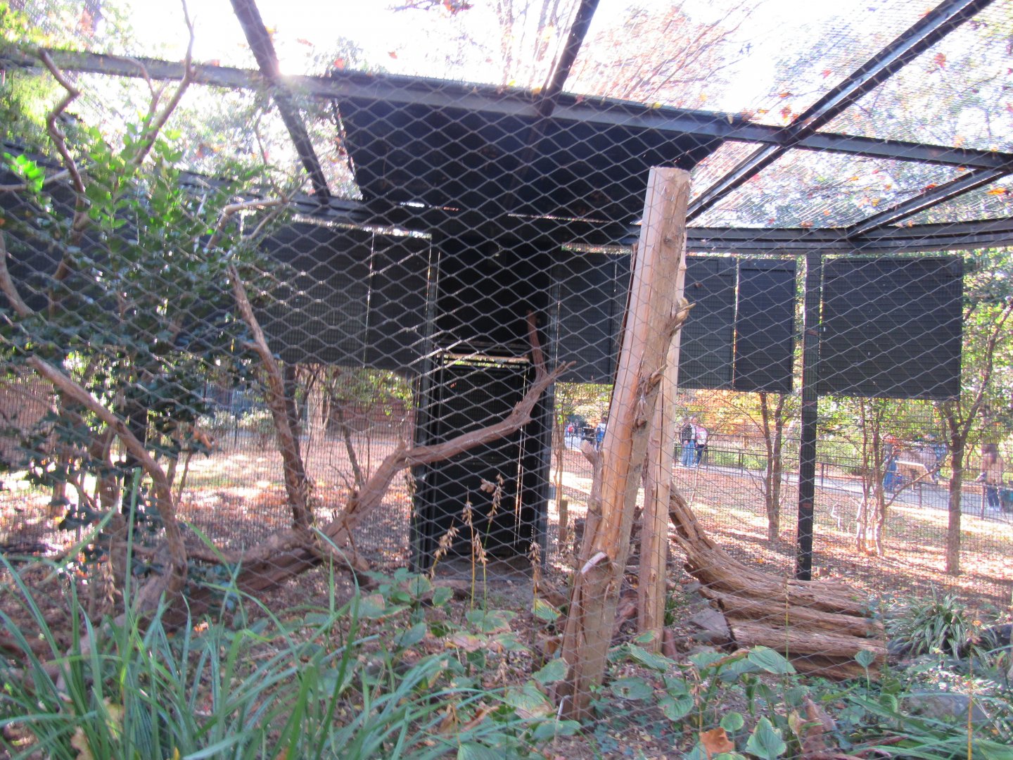 Bird Plateau- Owl Exhibit