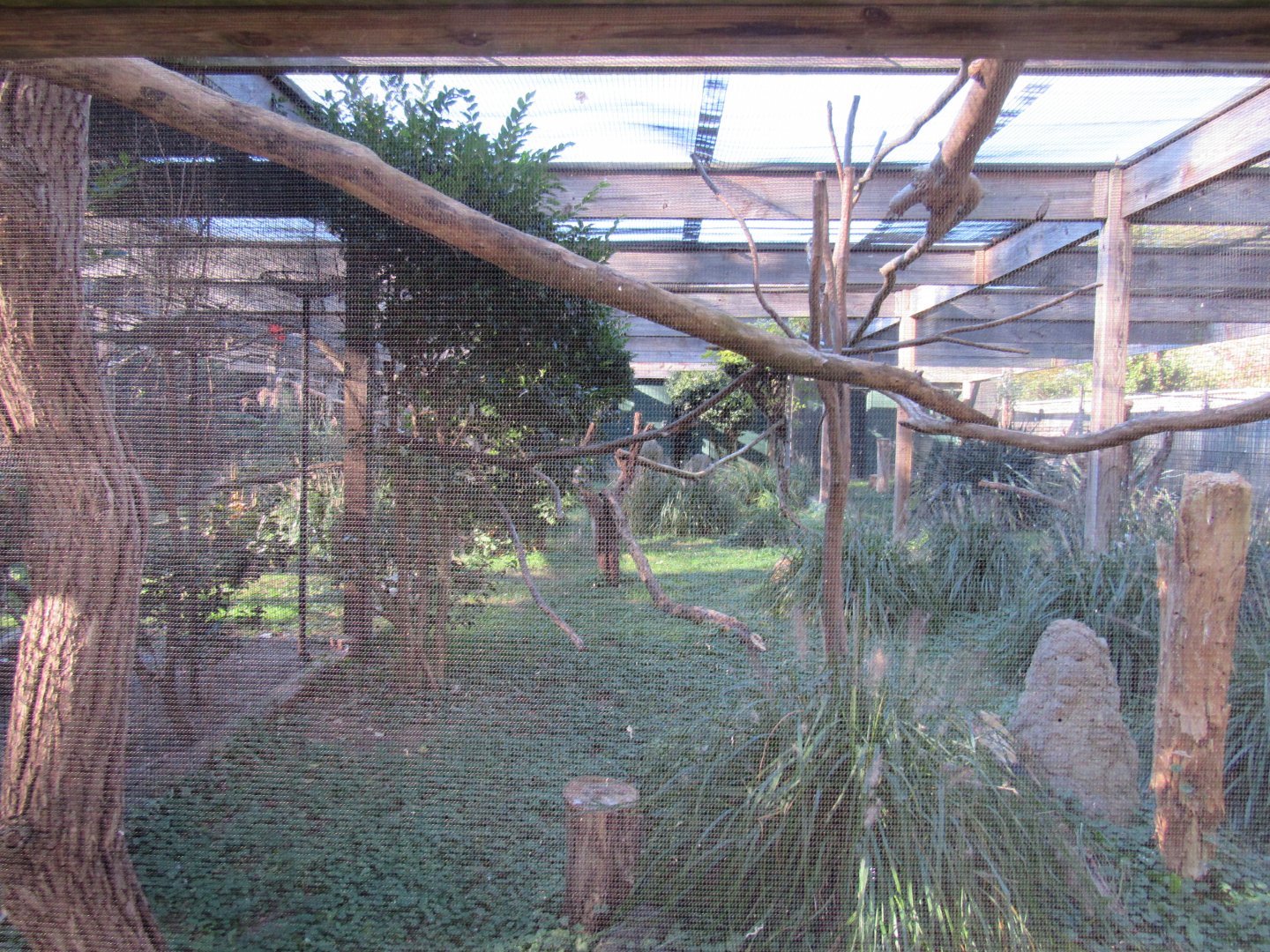 Bird Plateau- Red-legged Seriema Exhibit