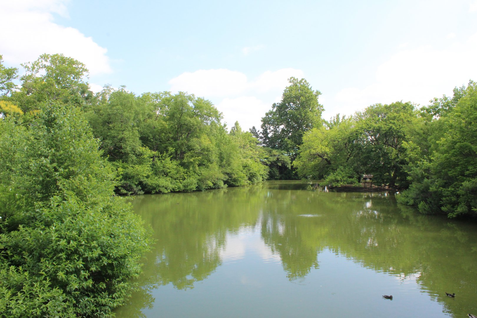 Bird Pond #2 - Lakeside Crossing