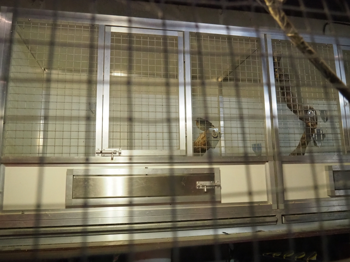 Bird quarantine cages (Aug 28th, 2018)